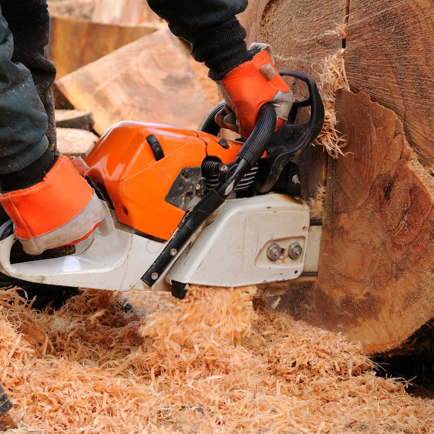 Tree Cutting in North Down