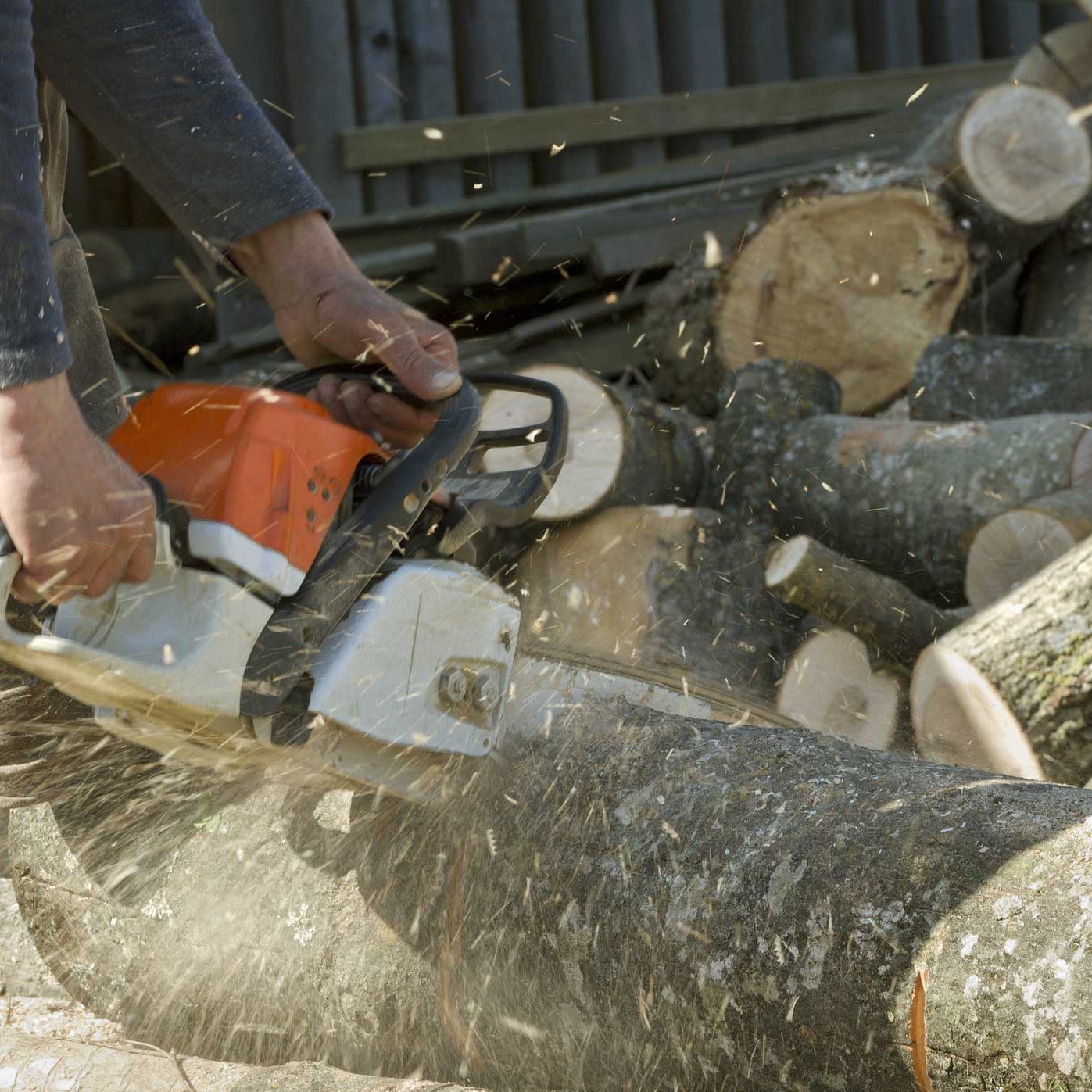 Tree Surgeon in North Down